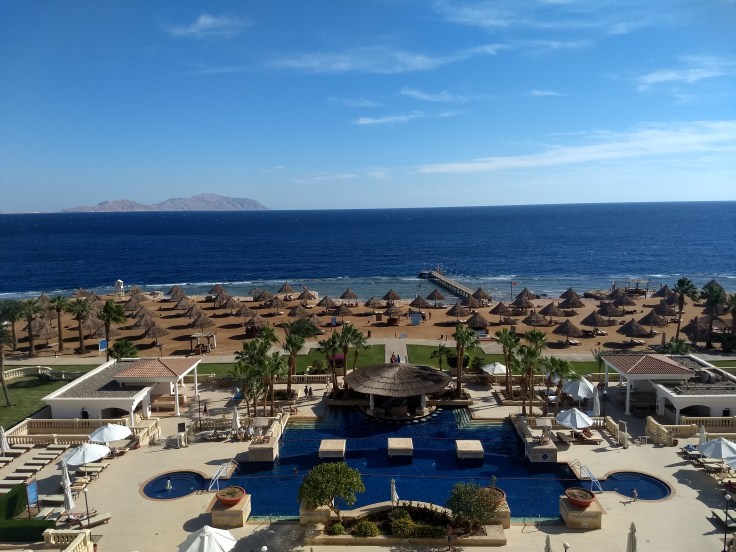 IMG_20181222_112644396